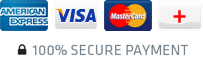 100% Secure Payment